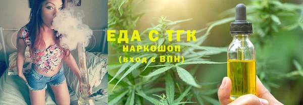 индика Гусь-Хрустальный
