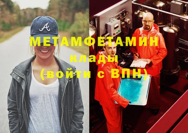 индика Гусь-Хрустальный