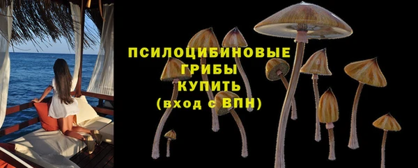 соль ск Гусев