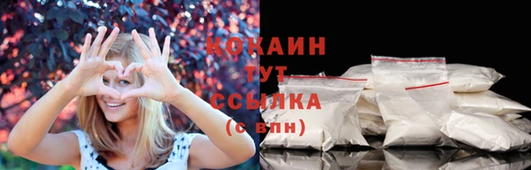 соль ск Гусев