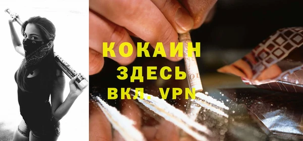 индика Гусь-Хрустальный