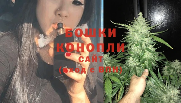соль ск Гусев