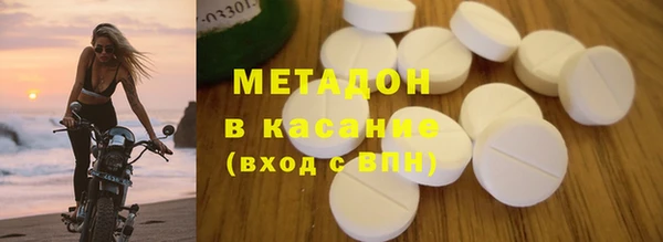 индика Гусь-Хрустальный