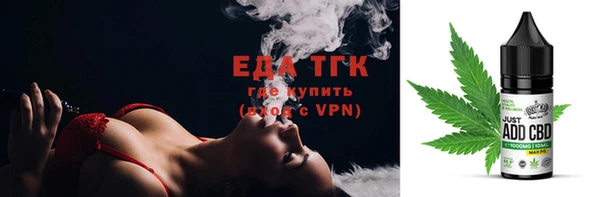 индика Гусь-Хрустальный