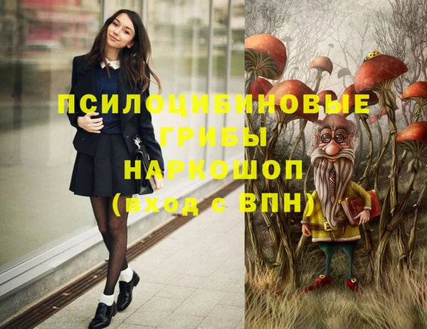 соль ск Гусев
