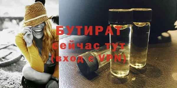 индика Гусь-Хрустальный