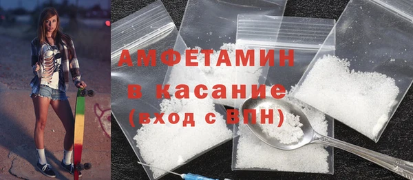 индика Гусь-Хрустальный