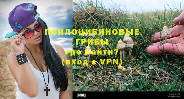 ECSTASY Гусиноозёрск