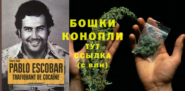 индика Гусь-Хрустальный