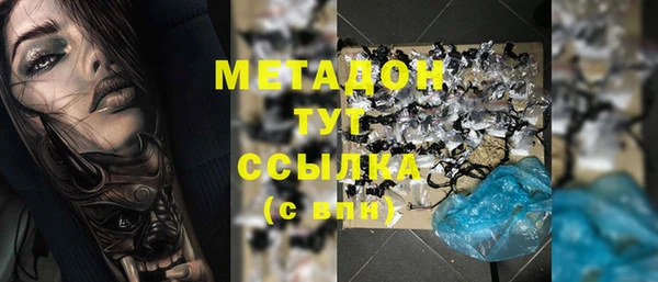 индика Гусь-Хрустальный
