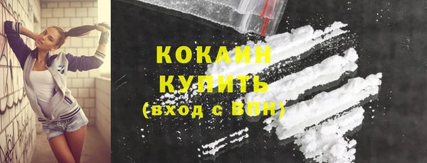 индика Гусь-Хрустальный
