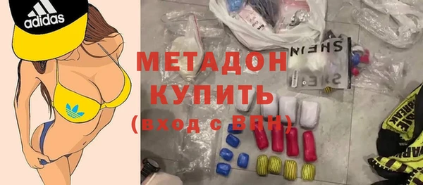 индика Гусь-Хрустальный