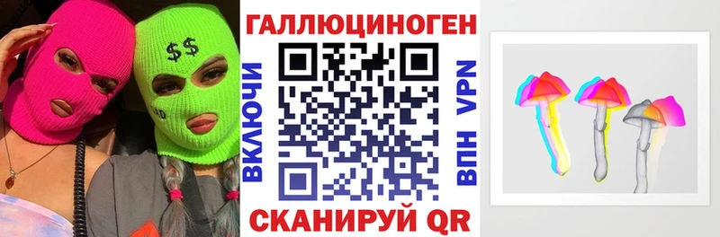 Купить где  Октябрьский  Галлюциногенные грибы Psilocybine cubensis 